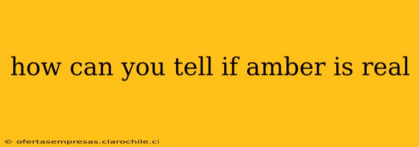 how can you tell if amber is real