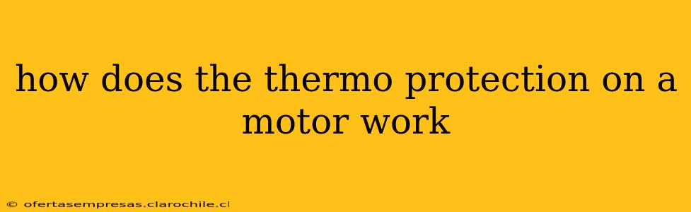 how does the thermo protection on a motor work