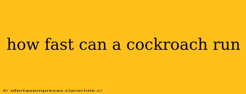 how fast can a cockroach run