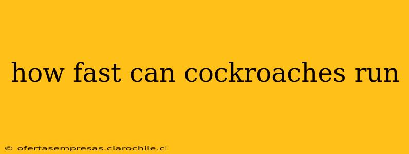 how fast can cockroaches run