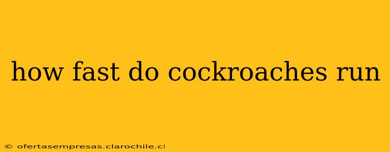 how fast do cockroaches run