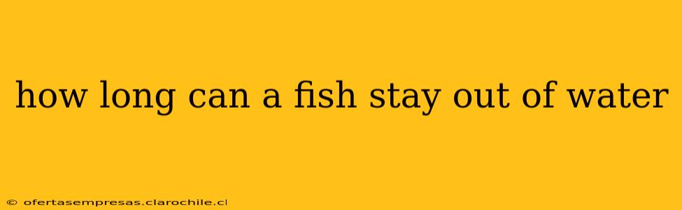 how long can a fish stay out of water