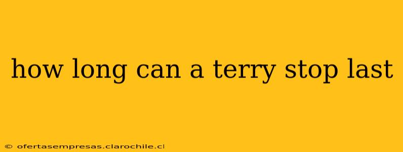 how long can a terry stop last