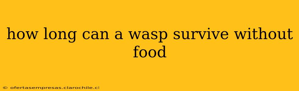 how long can a wasp survive without food