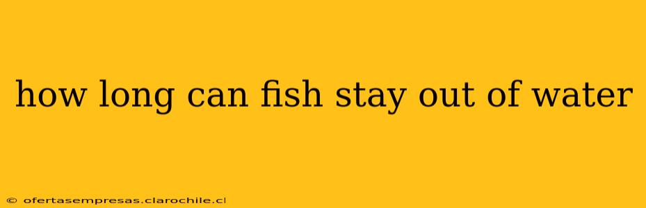 how long can fish stay out of water