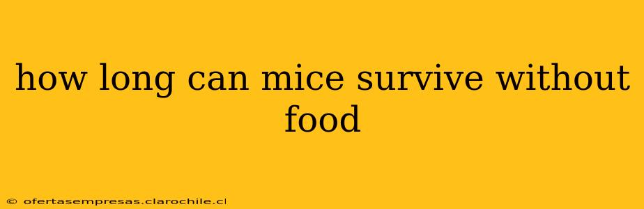 how long can mice survive without food