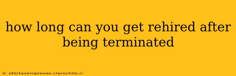 how long can you get rehired after being terminated