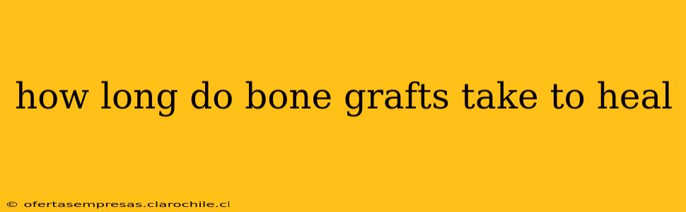 how long do bone grafts take to heal