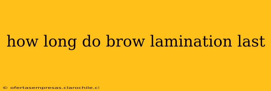 how long do brow lamination last