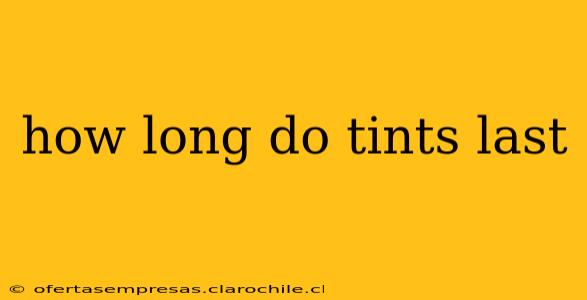 how long do tints last