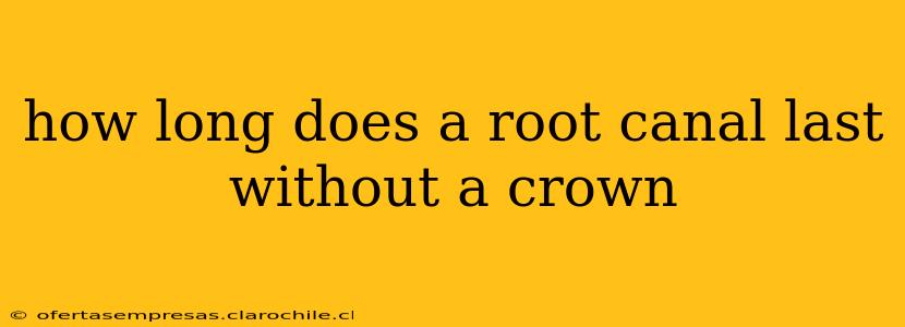 how long does a root canal last without a crown