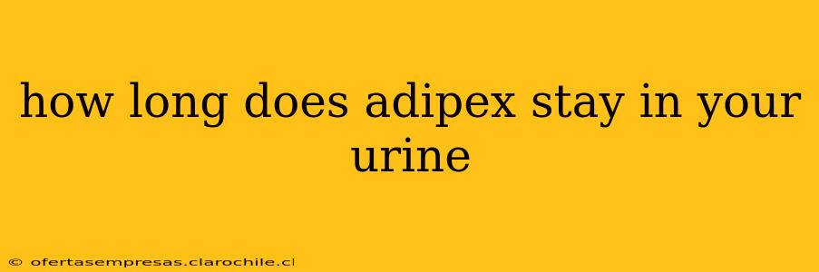 how long does adipex stay in your urine