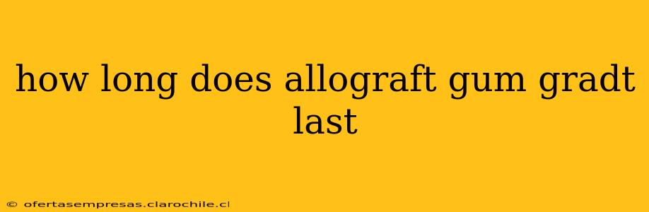 how long does allograft gum gradt last
