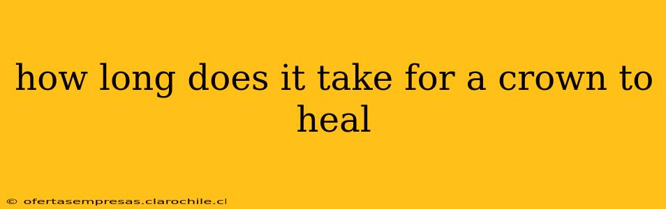 how long does it take for a crown to heal