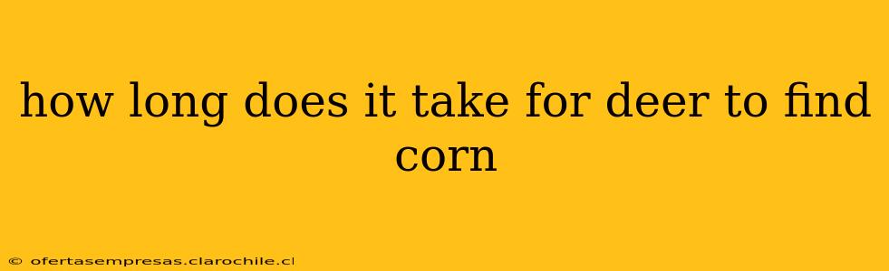 how long does it take for deer to find corn