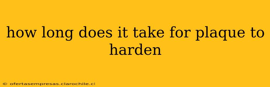 how long does it take for plaque to harden