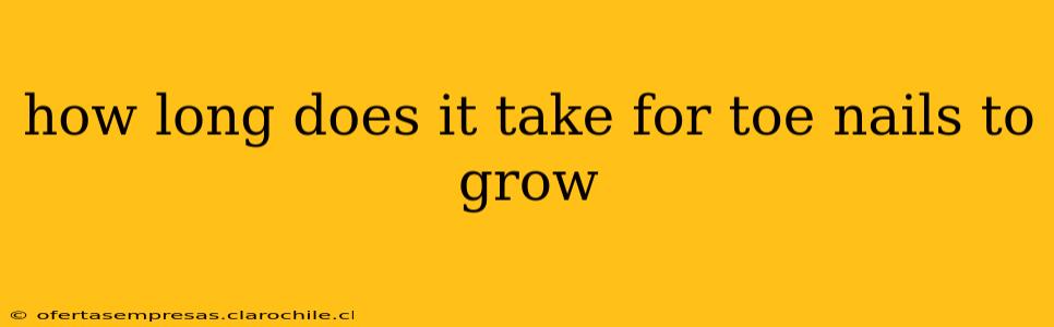 how long does it take for toe nails to grow