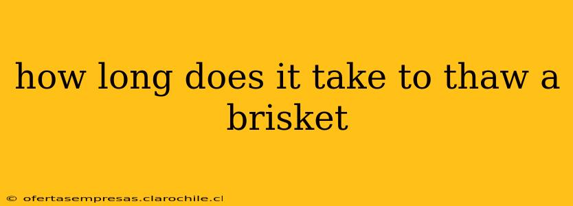 how long does it take to thaw a brisket