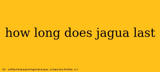 how long does jagua last