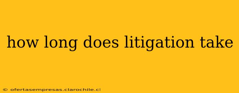 how long does litigation take