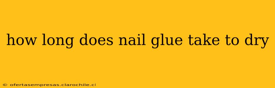 how long does nail glue take to dry