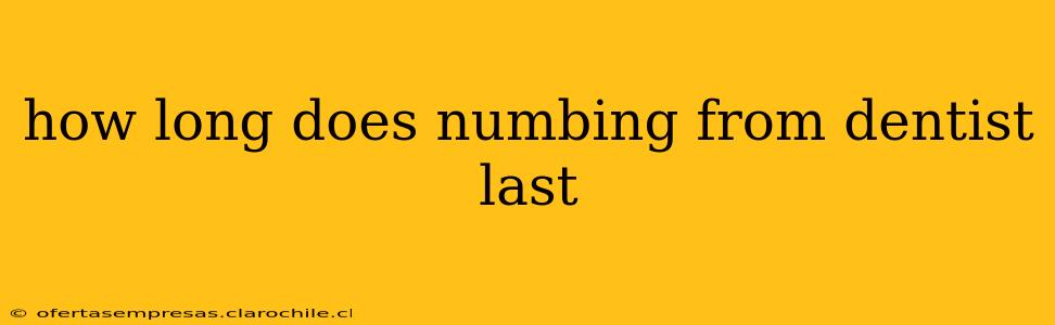 how long does numbing from dentist last