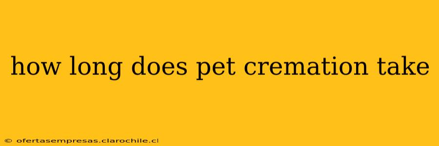 how long does pet cremation take