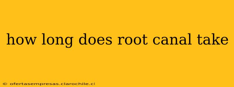 how long does root canal take