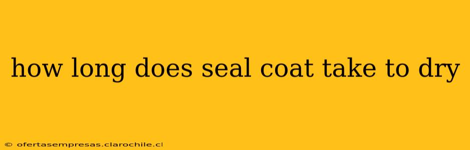 how long does seal coat take to dry