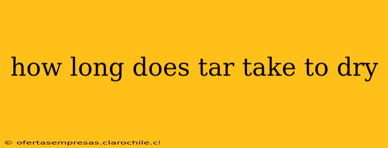 how long does tar take to dry
