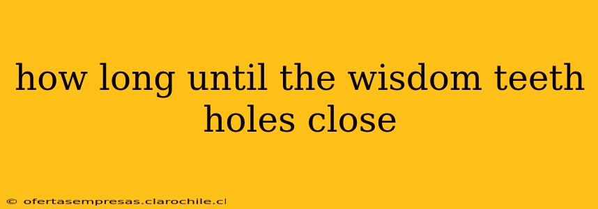 how long until the wisdom teeth holes close