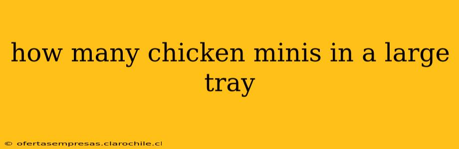 how many chicken minis in a large tray