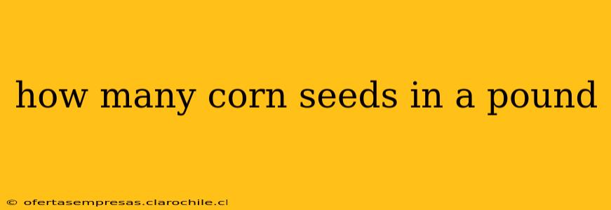 how many corn seeds in a pound