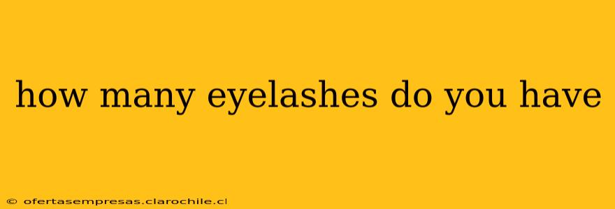 how many eyelashes do you have