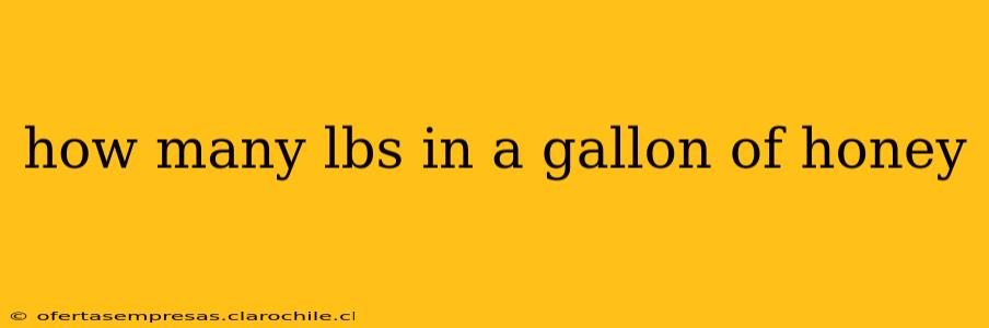 how many lbs in a gallon of honey