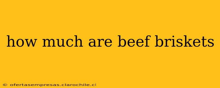 how much are beef briskets