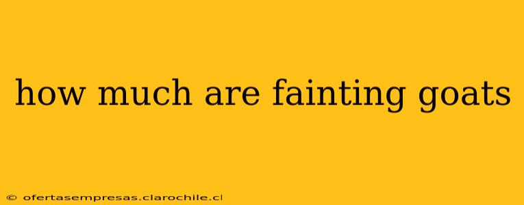 how much are fainting goats