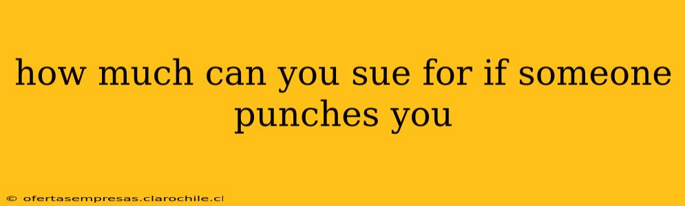 how much can you sue for if someone punches you