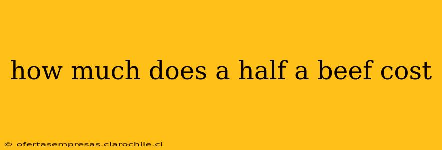 how much does a half a beef cost