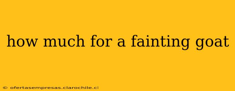 how much for a fainting goat