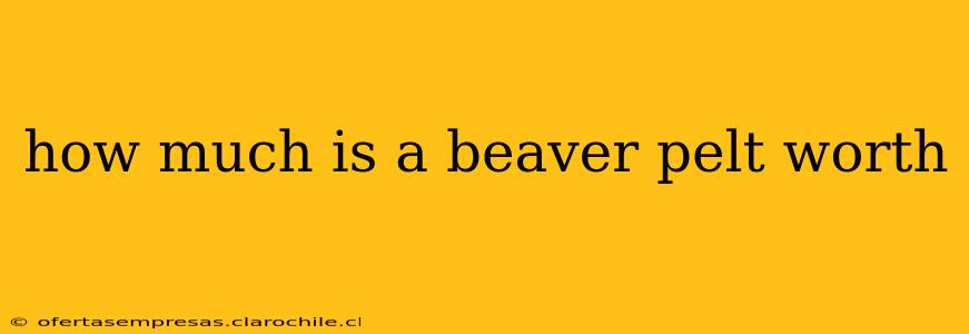 how much is a beaver pelt worth