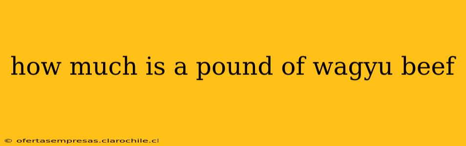 how much is a pound of wagyu beef