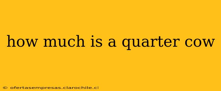 how much is a quarter cow