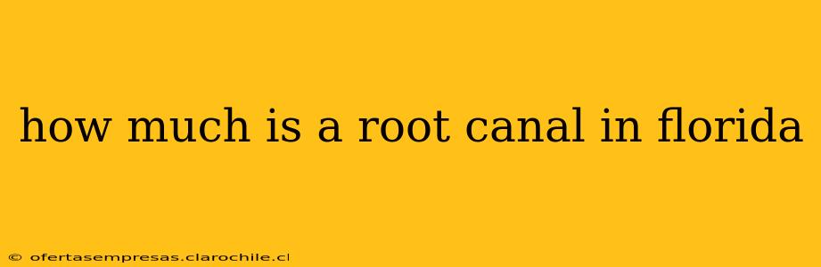 how much is a root canal in florida