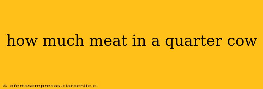 how much meat in a quarter cow