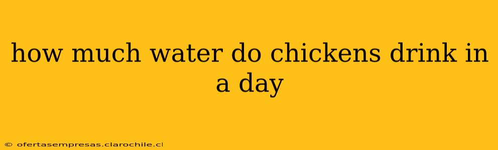 how much water do chickens drink in a day