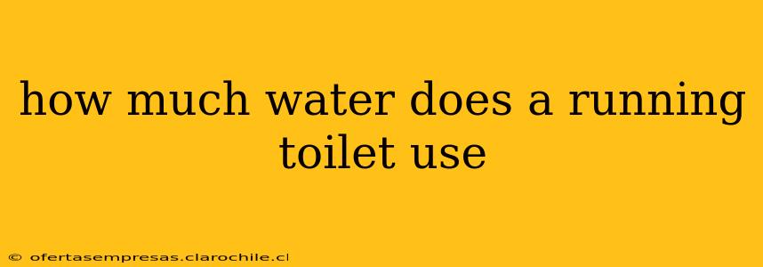 how much water does a running toilet use