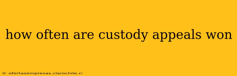how often are custody appeals won