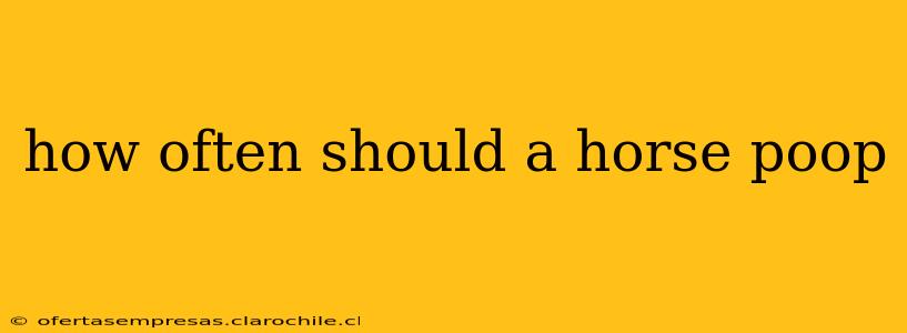 how often should a horse poop