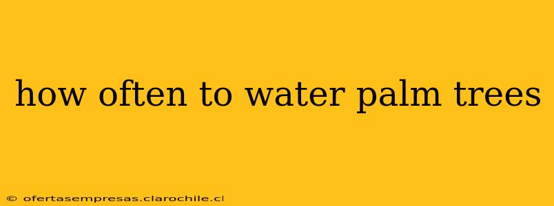 how often to water palm trees